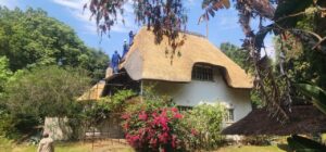 Thatching Services | Lapa Thatch Roof Maintenance